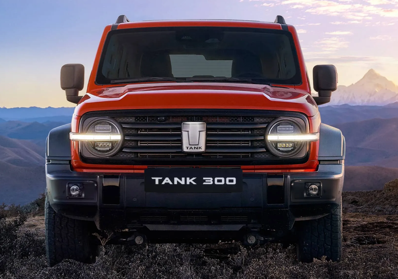 TANK 300
